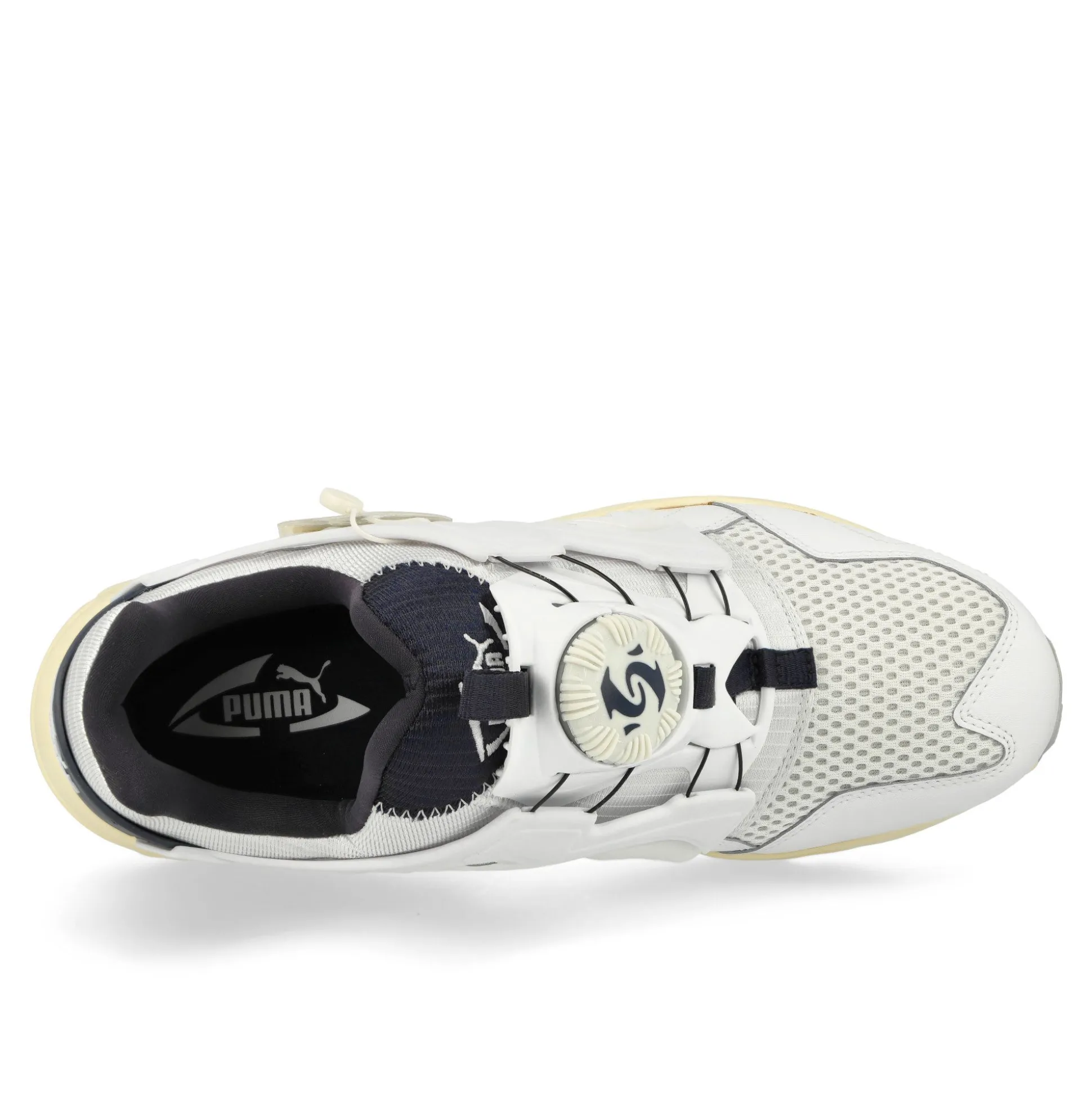 Online Disc Blaze Low Tops|Retro & Running