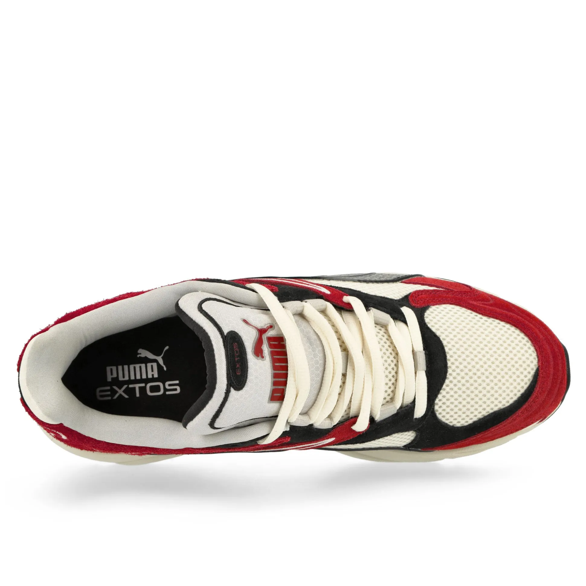 Hot Extos Collector Low Tops|Retro & Running