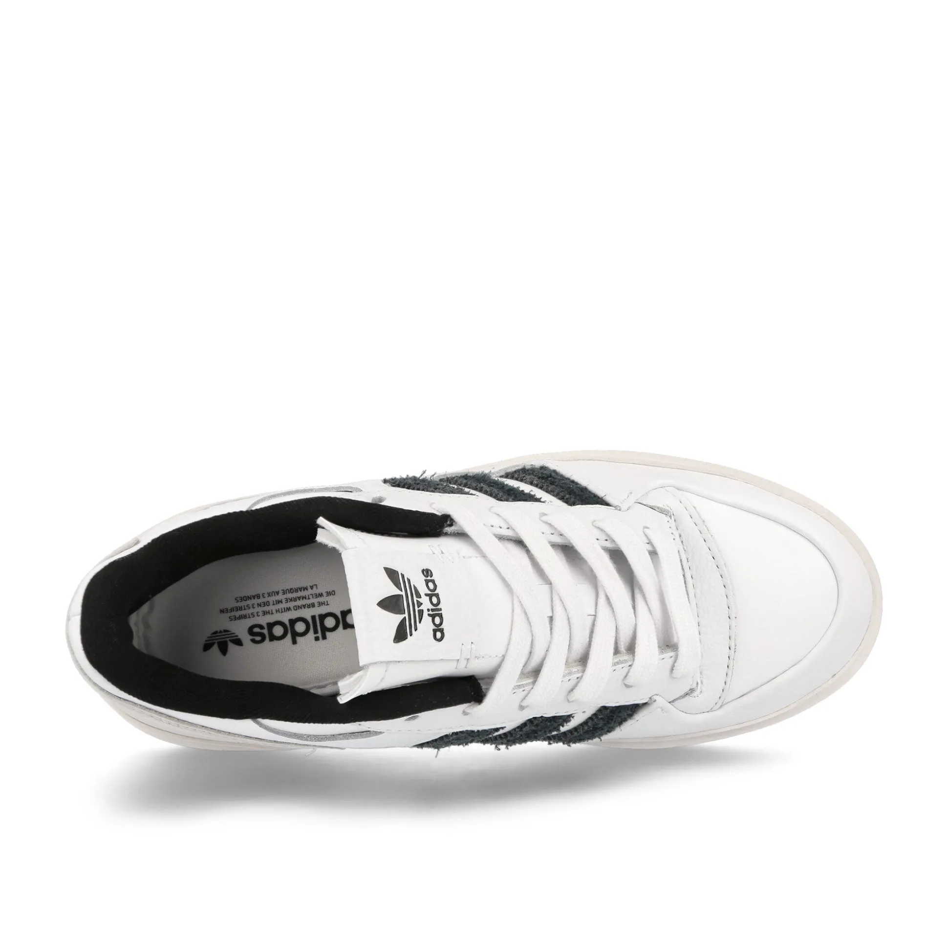 Shop Forum Bonega W Women Low Tops