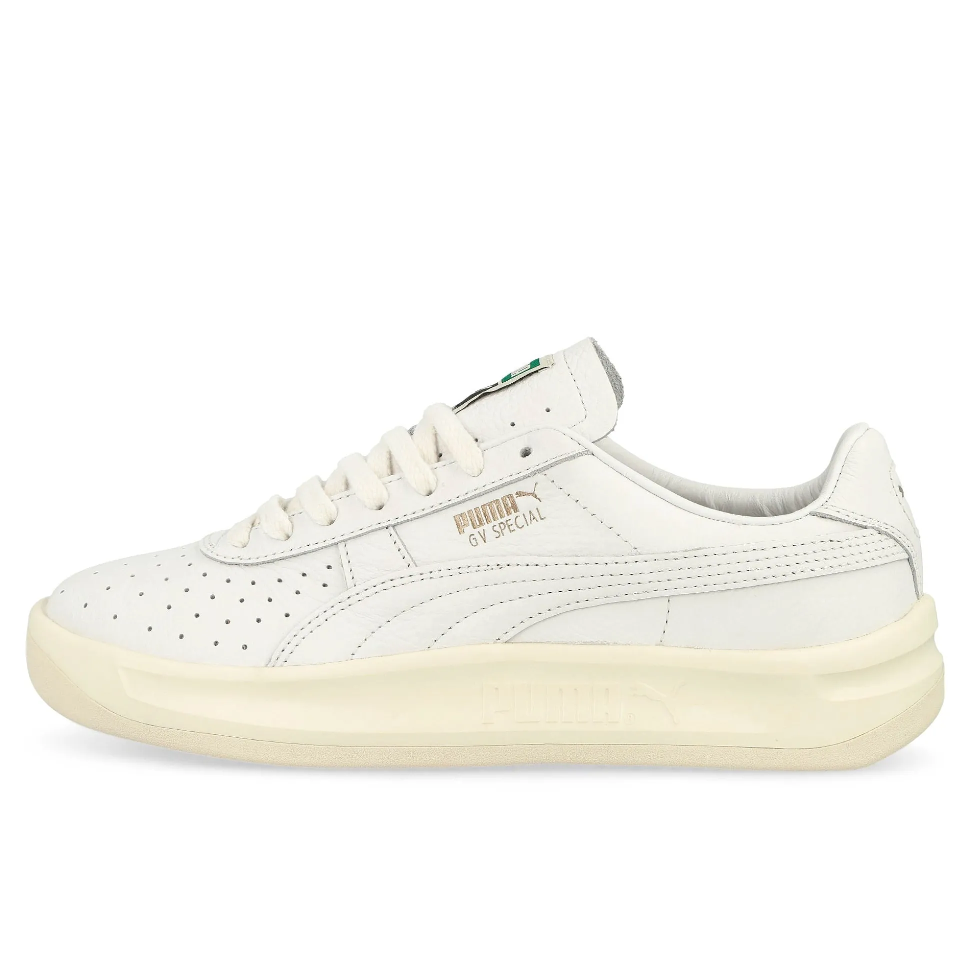 Store GV Special Low Tops|Basketball & Court