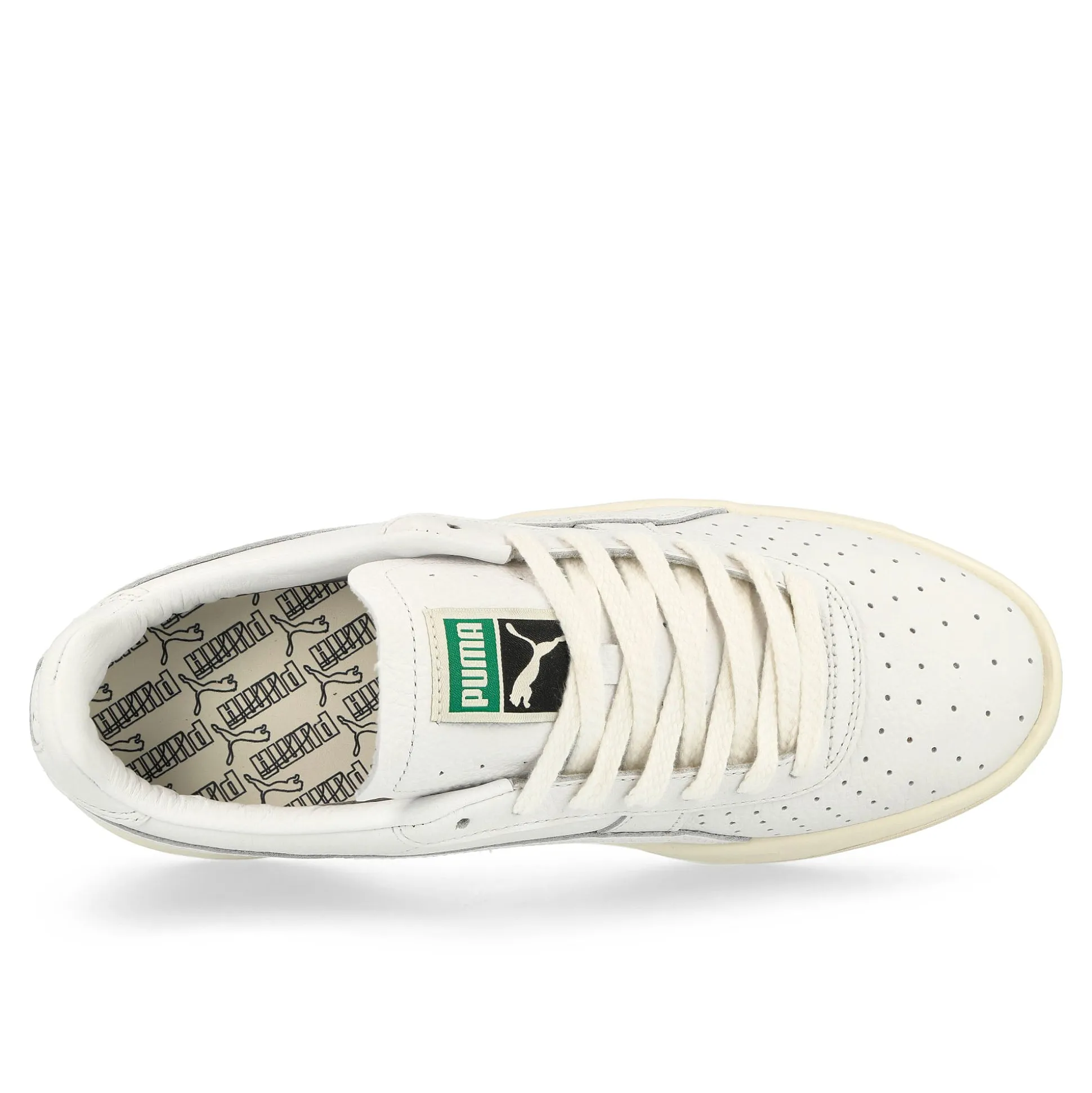 Store GV Special Low Tops|Basketball & Court