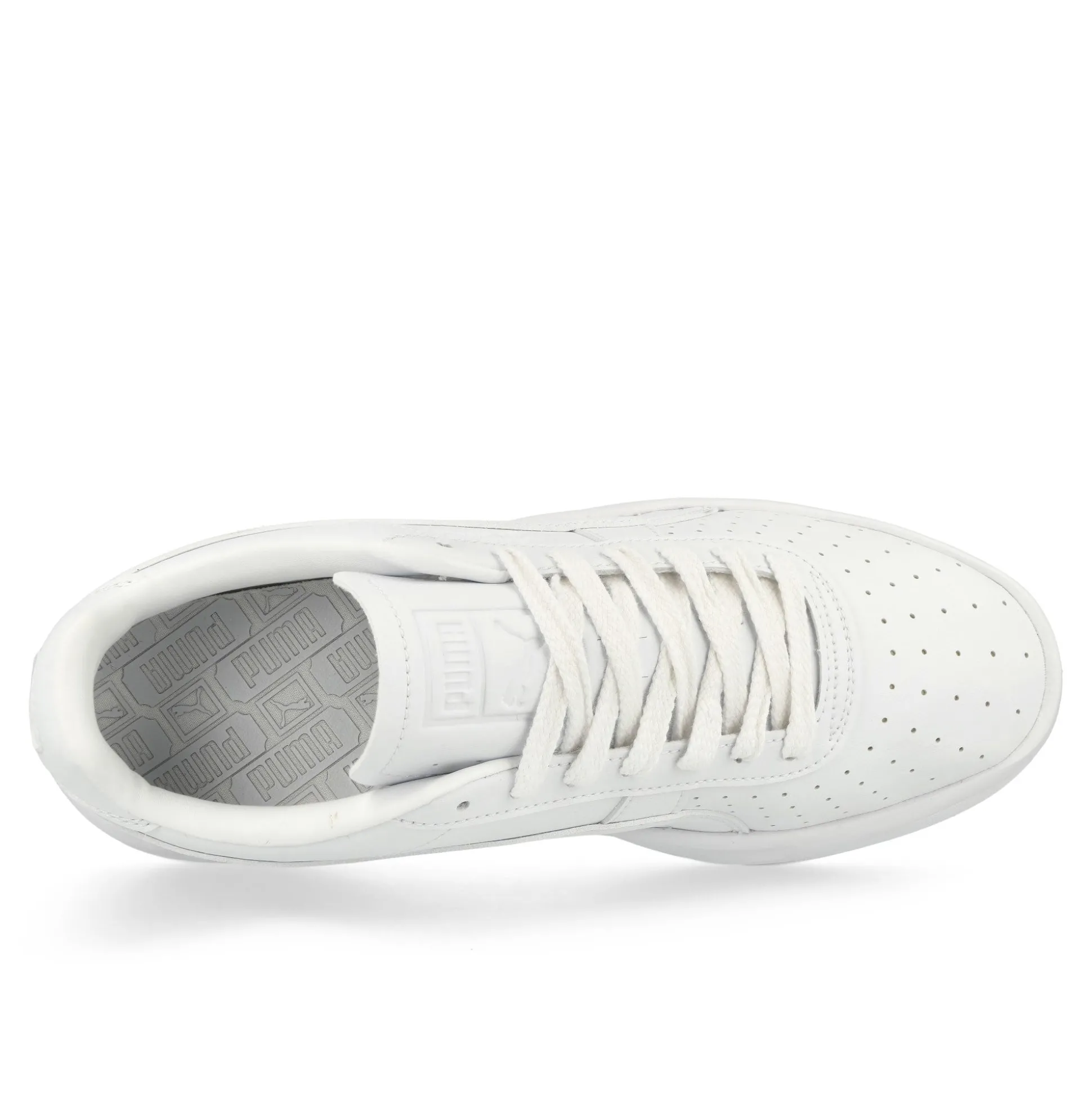 Flash Sale GV Special Laundry Boys Low Tops|Basketball & Court