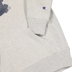 Best Hooded Sweatshirt Sweatshirts & Hoodies