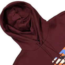 Store Hoops Classic Court Hoodie Sweatshirts & Hoodies