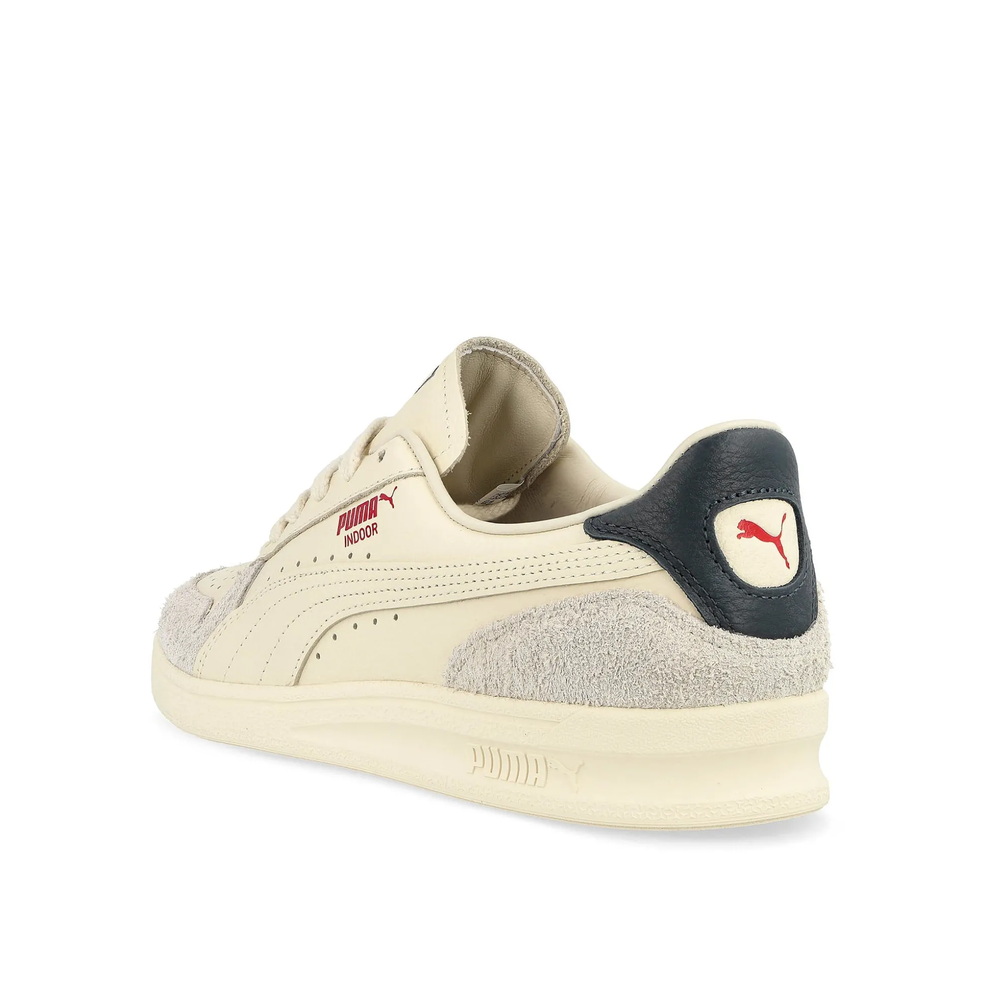 Best Indoor Women Low Tops|The Classics