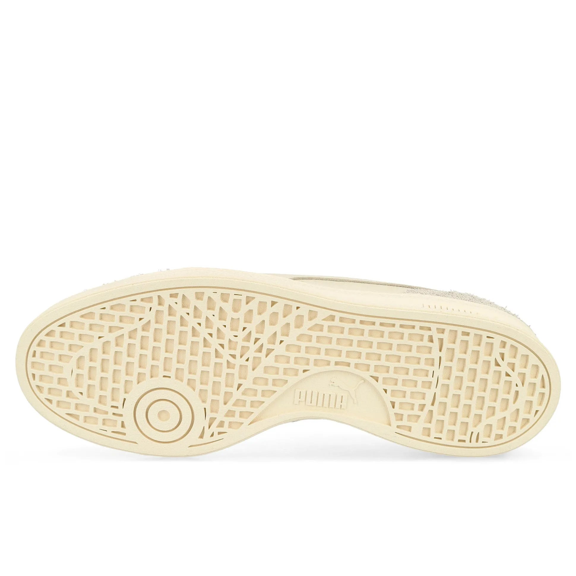 Best Indoor Women Low Tops|The Classics