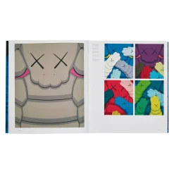 Fashion Kaws: Contemporary Artist Series Women Books|Print & Magazines