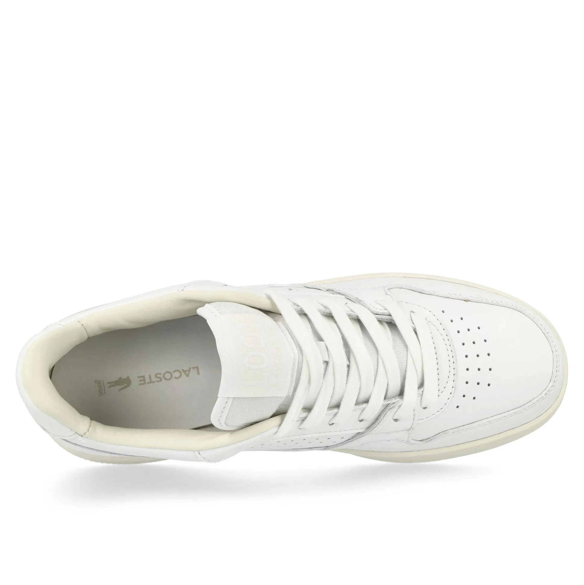 Discount L001 SET 224 5 SMA Low Tops|Basketball & Court
