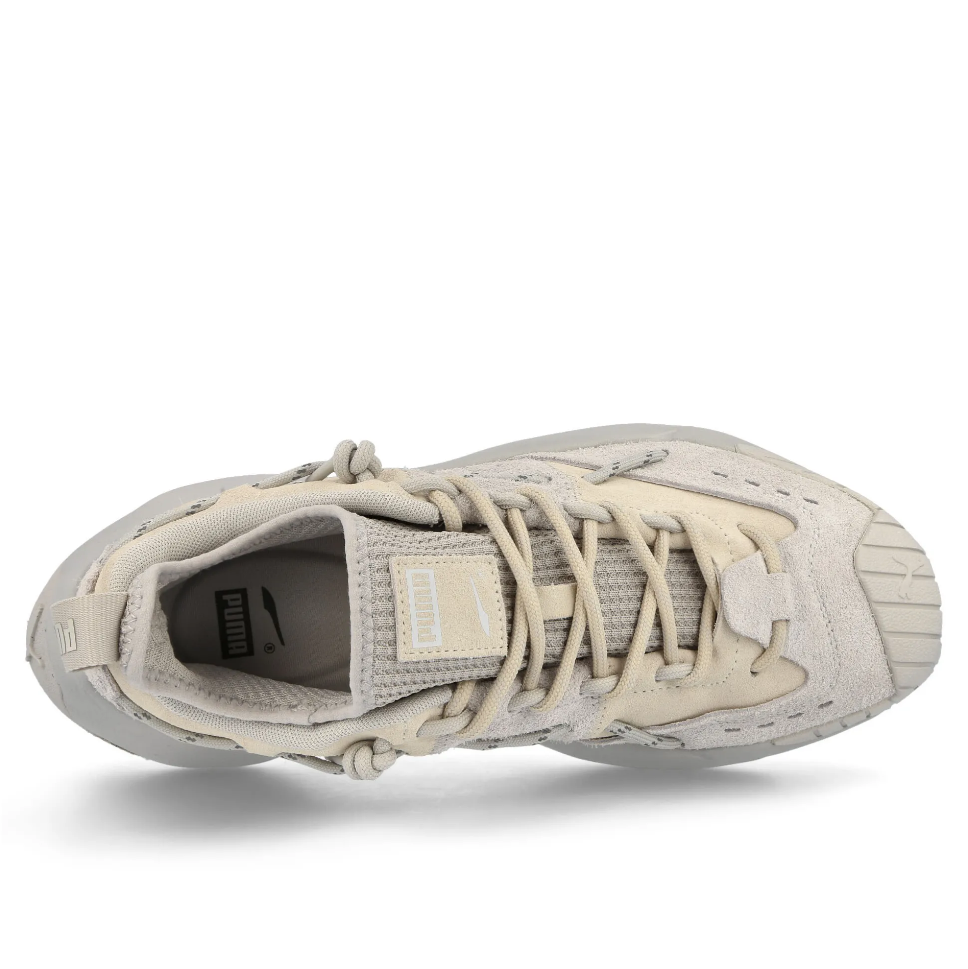 Fashion Plexus Low Tops|Retro & Running
