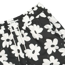 Flash Sale Preim Shorts Pants & Shorts