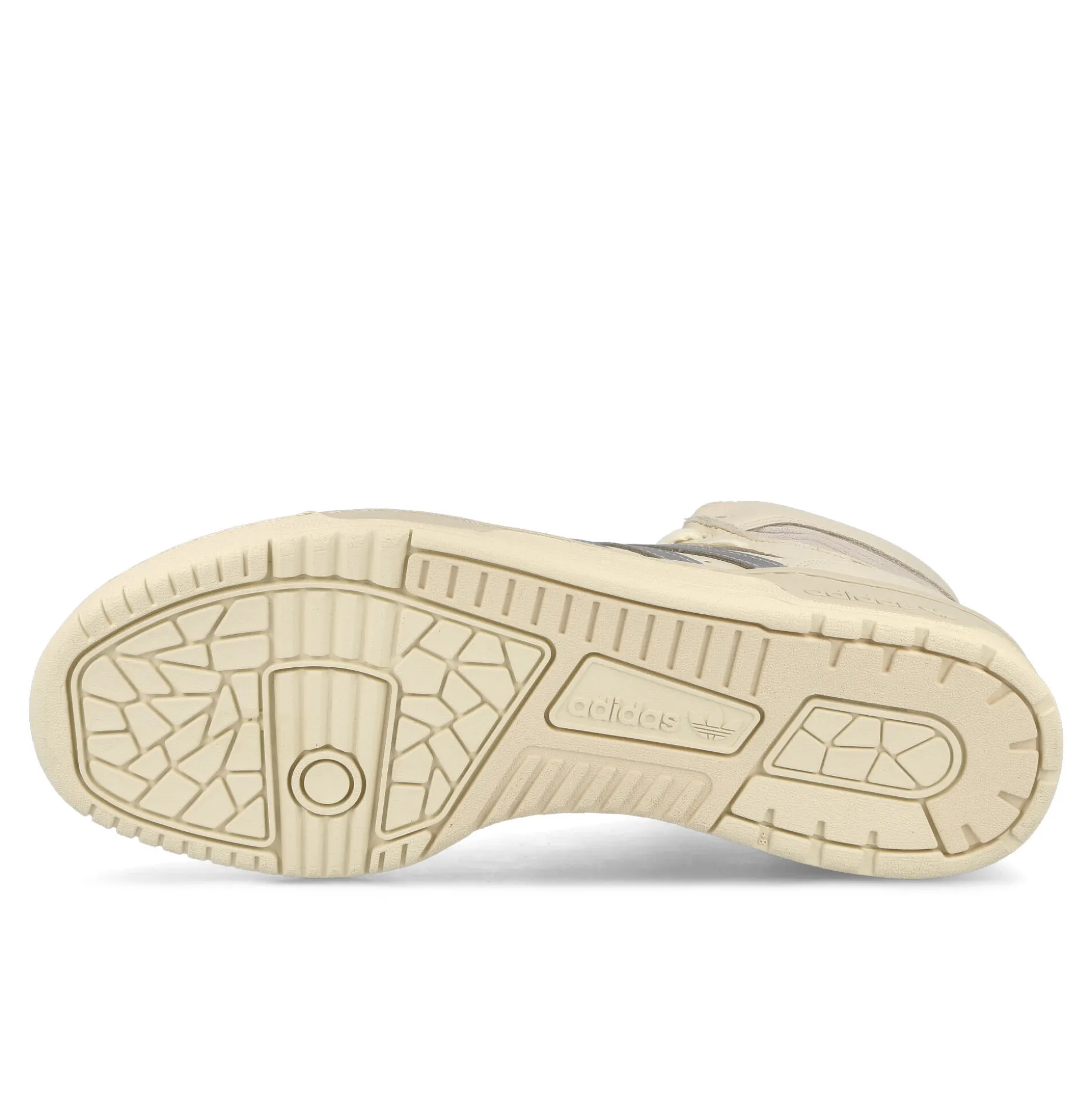 Shop Rivalry Hi Consortium Women High Tops|Basketball & Court