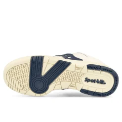Shop Sonic Low Low Tops|Basketball & Court