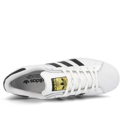 Fashion superstar Women Low Tops|Basketball & Court