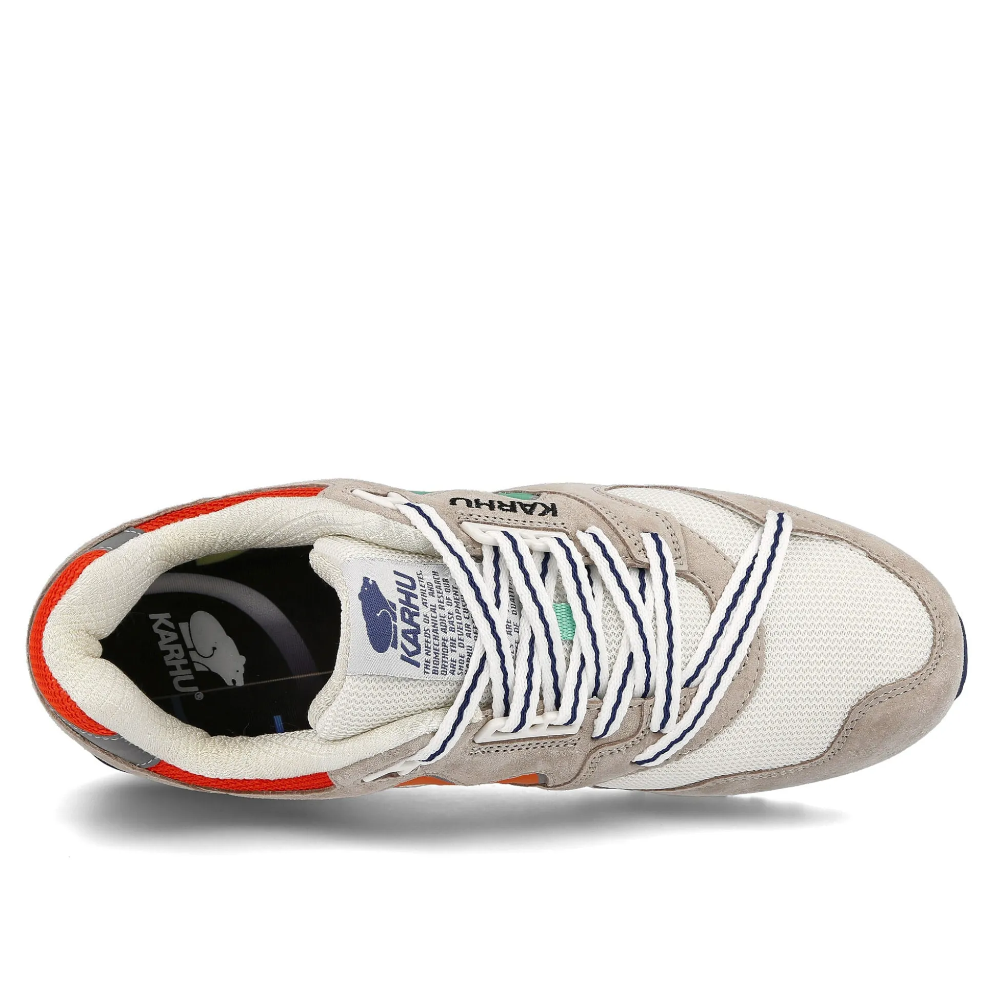 Hot synchron classic Low Tops