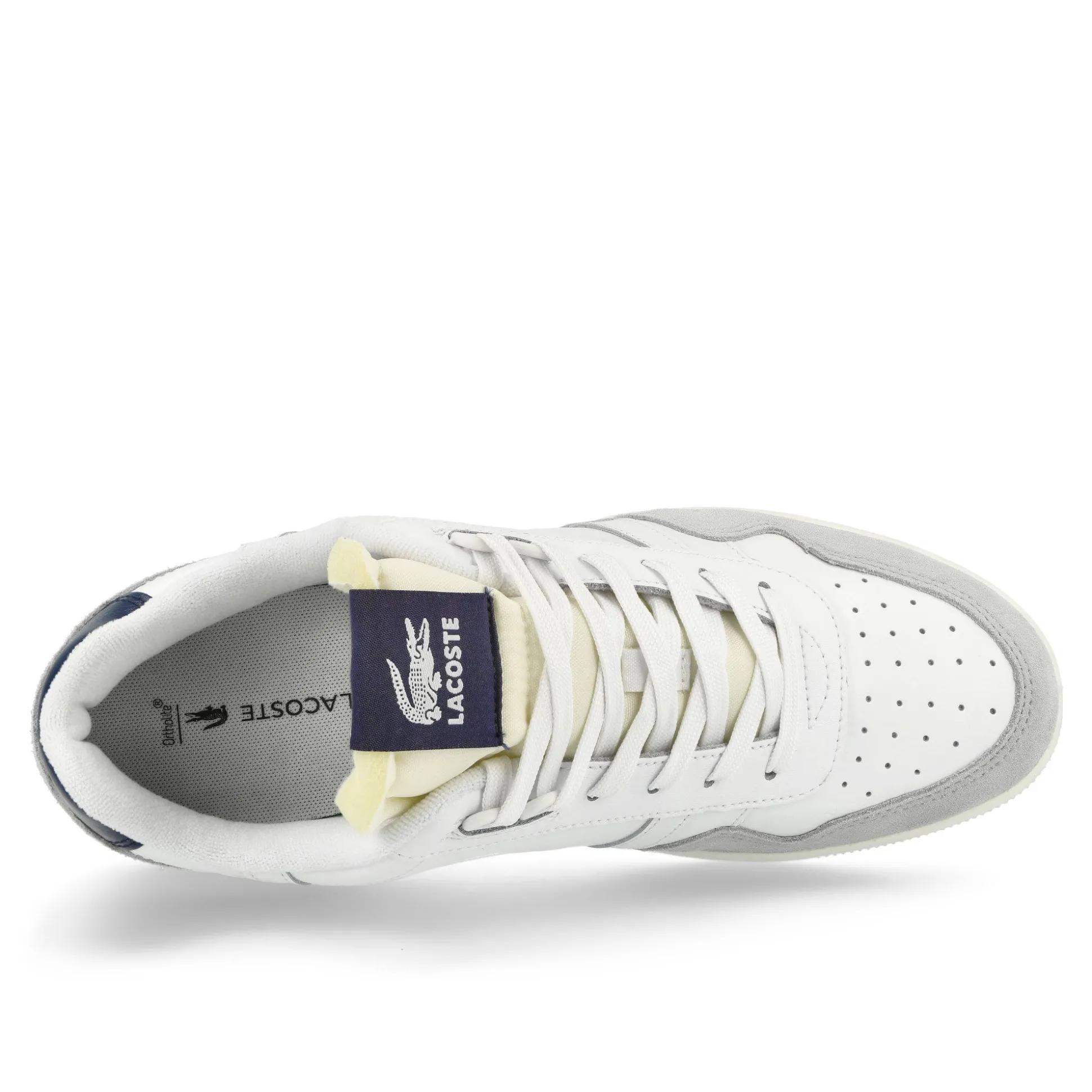 Clearance T-Clip 223 5 SMA Low Tops|Basketball & Court