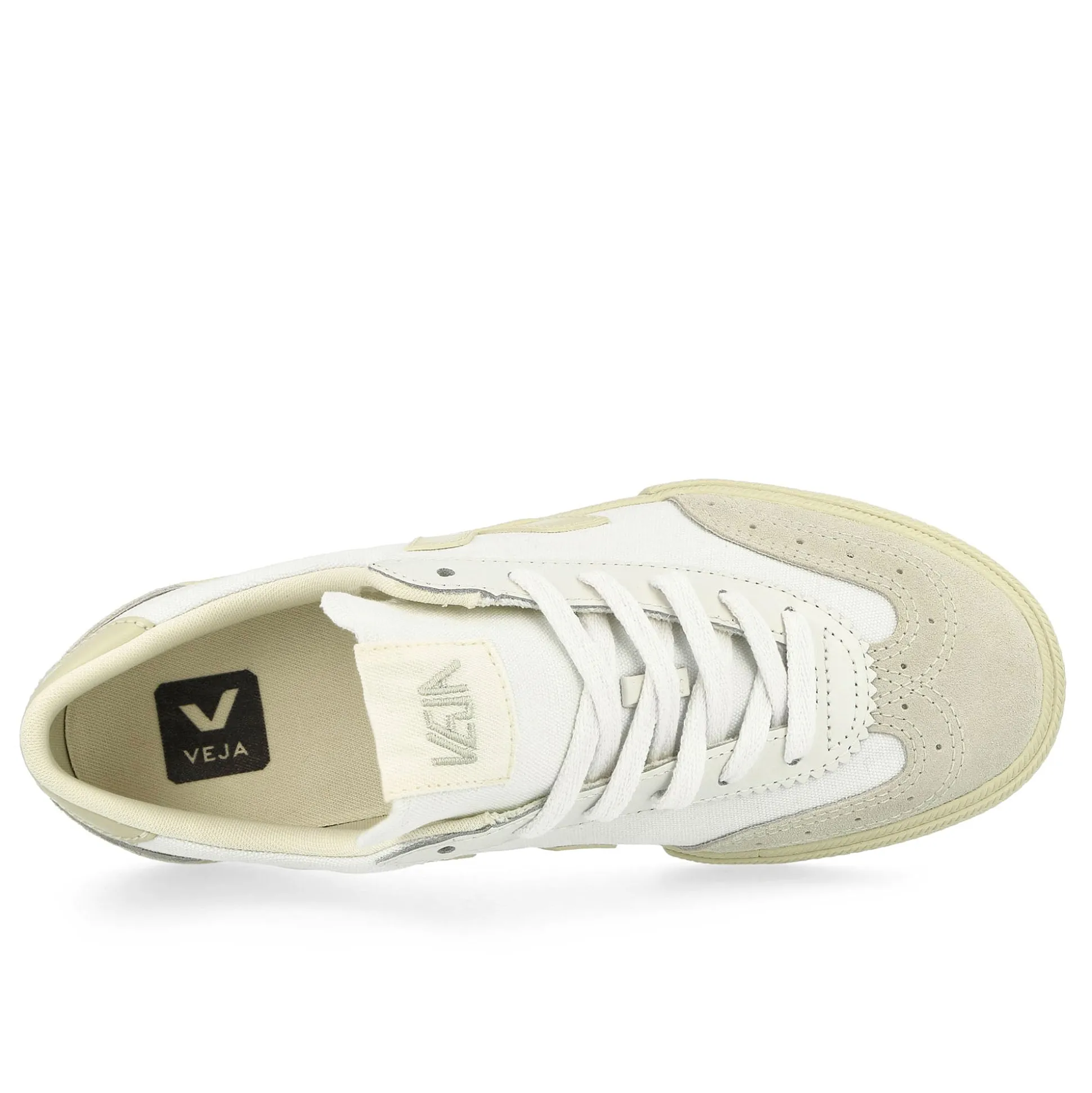 Clearance Volley Canvas Low Tops